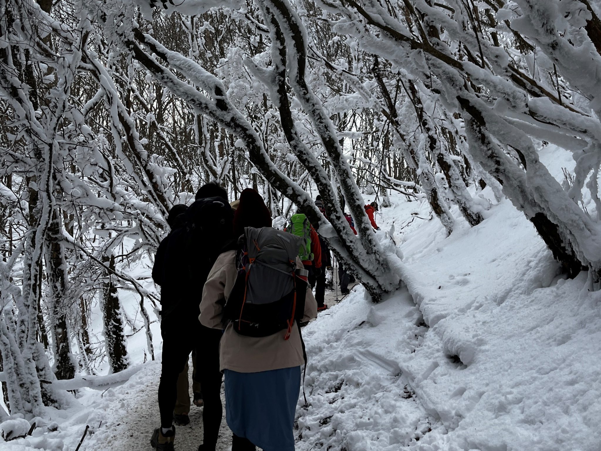 image1 御杖村観光協会